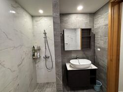 The Serenade @ Holland (D10), Condominium #453833891